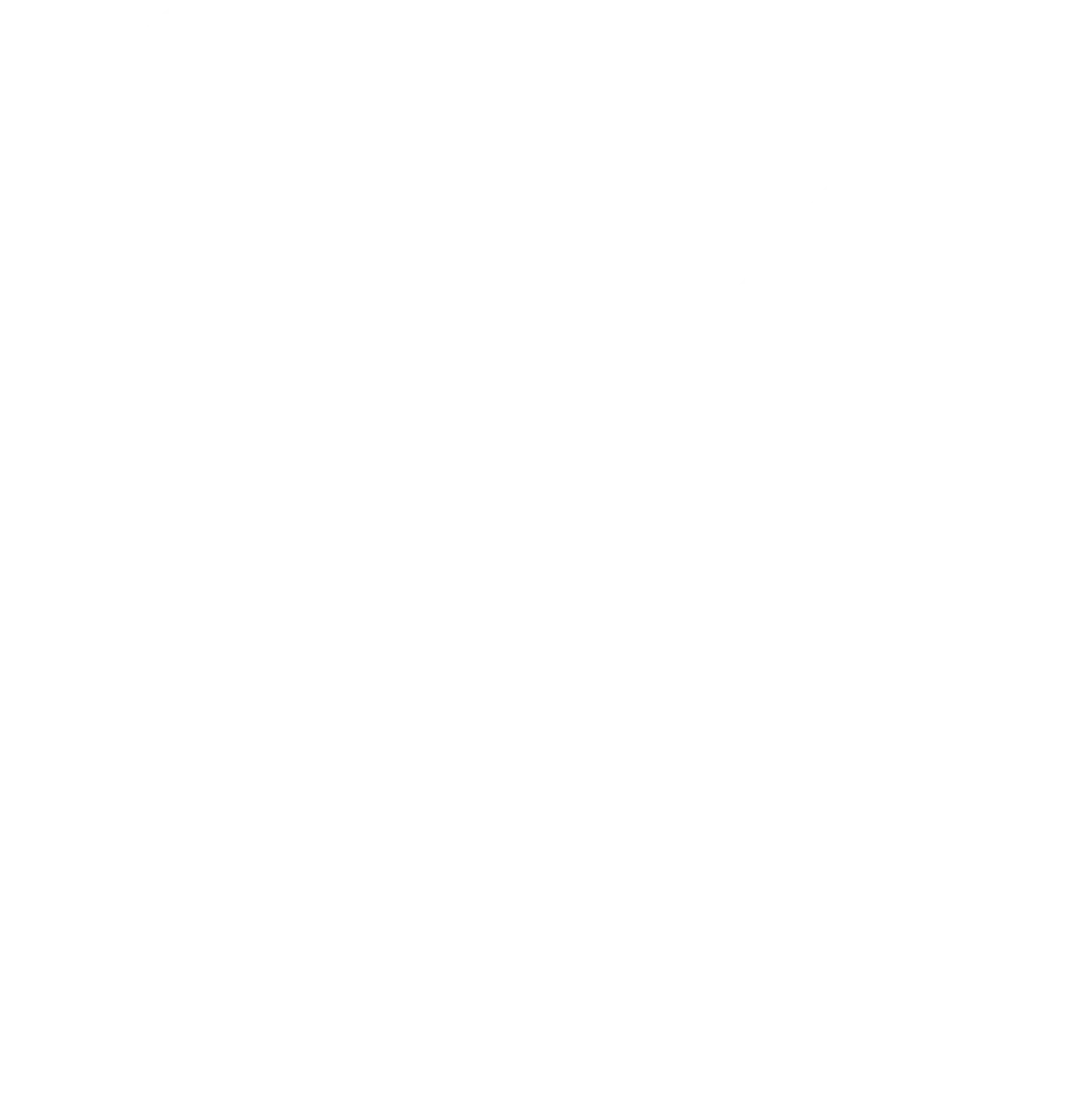 Herr Ramon Stafan -  Gebäudereinigung, Entrümpelung und Schrottabholung - Checklisten-Symbol